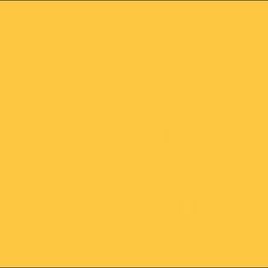 Meet your Posher, Abigail